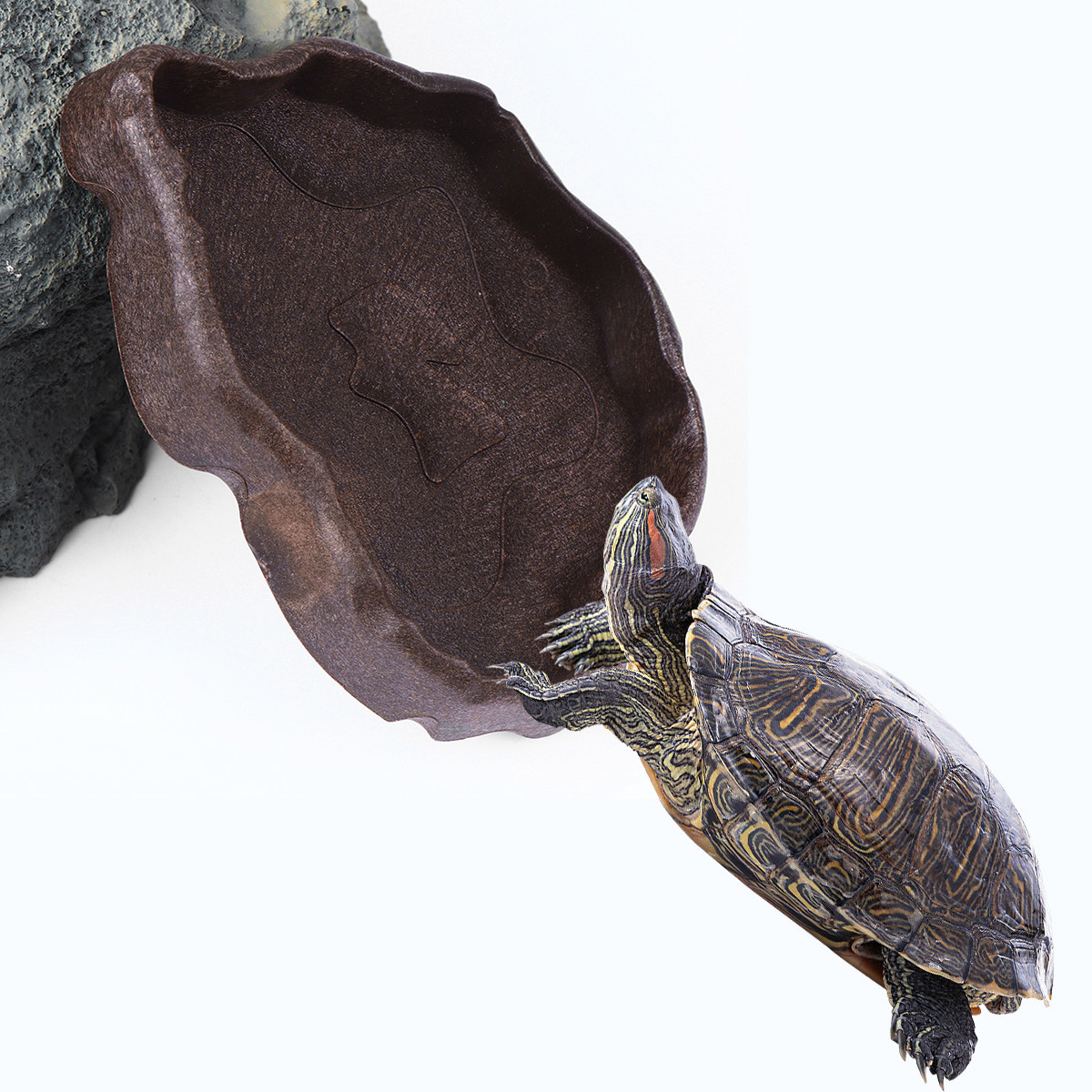 Reptile Resin Food Dish Coffee - Water Dish Reptile ulasan dan harga