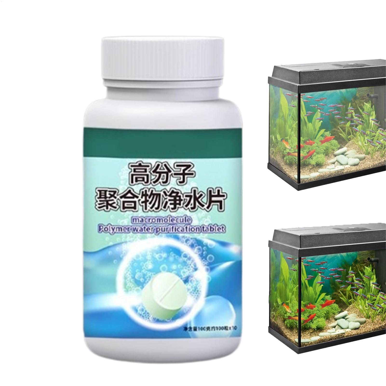 Fish Can Algae Remover Aquariu - Water Dish Reptile ulasan dan harga