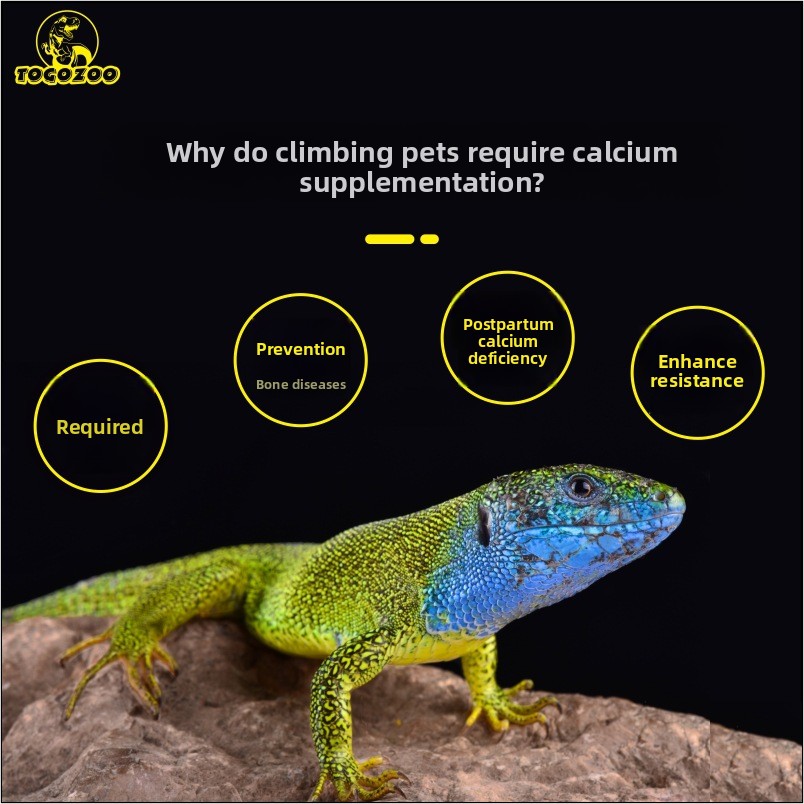 TOGOZOO WILDCAL Reptile Calciu - Calcium Powder Reptile ulasan dan harga