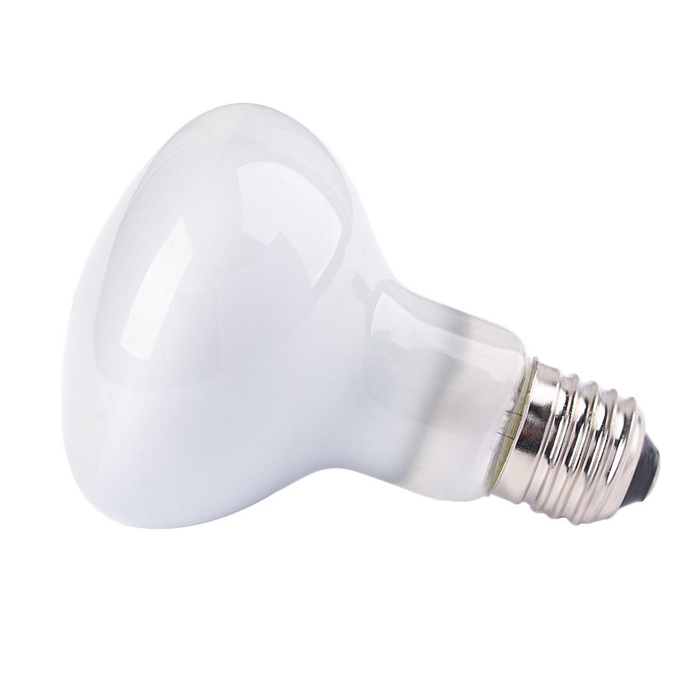 Amphibians Temperature Control - Basking Bulb Halogen ulasan dan harga