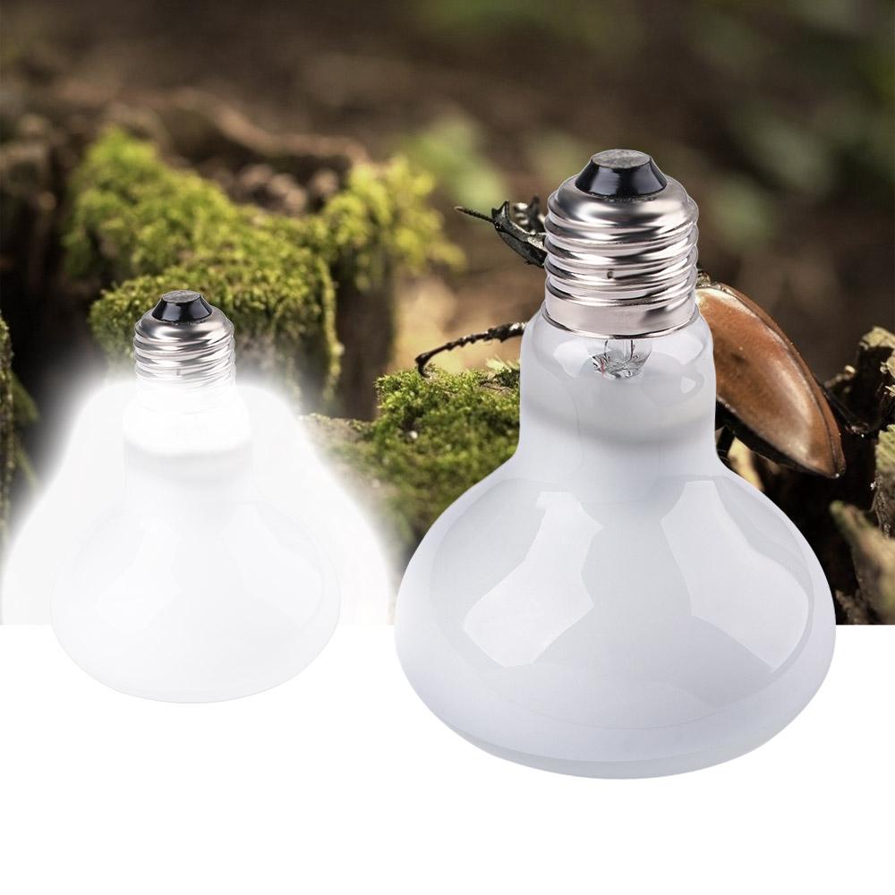 Amphibians Temperature Control - Basking Bulb Halogen ulasan dan harga
