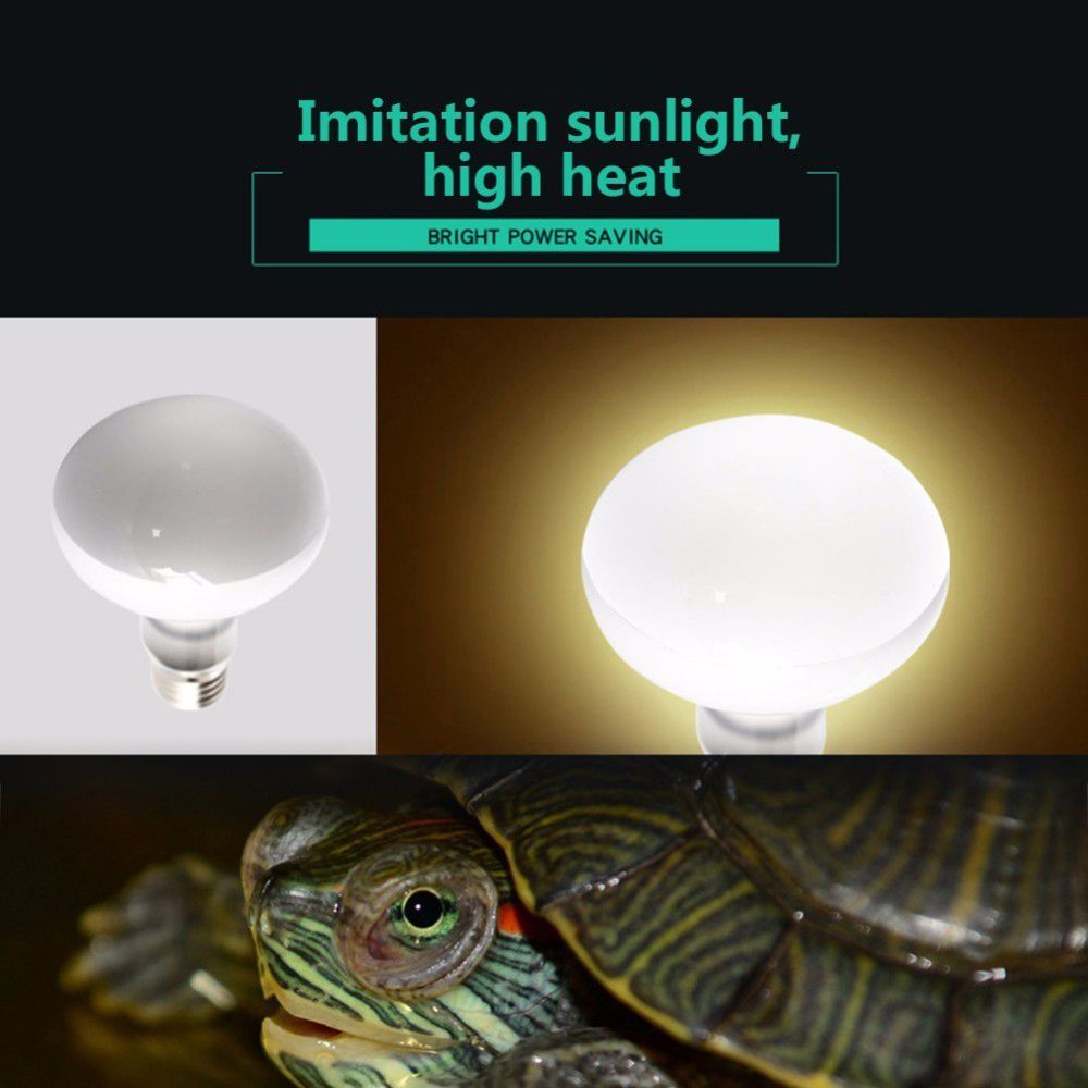 Amphibians Temperature Control - Basking Bulb Halogen ulasan dan harga