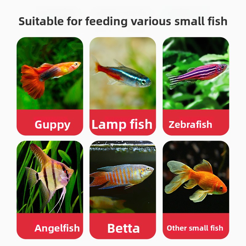 DEERA Tropical Fish Flakes, Un - Tetra Food Tropical Flakes ulasan dan harga