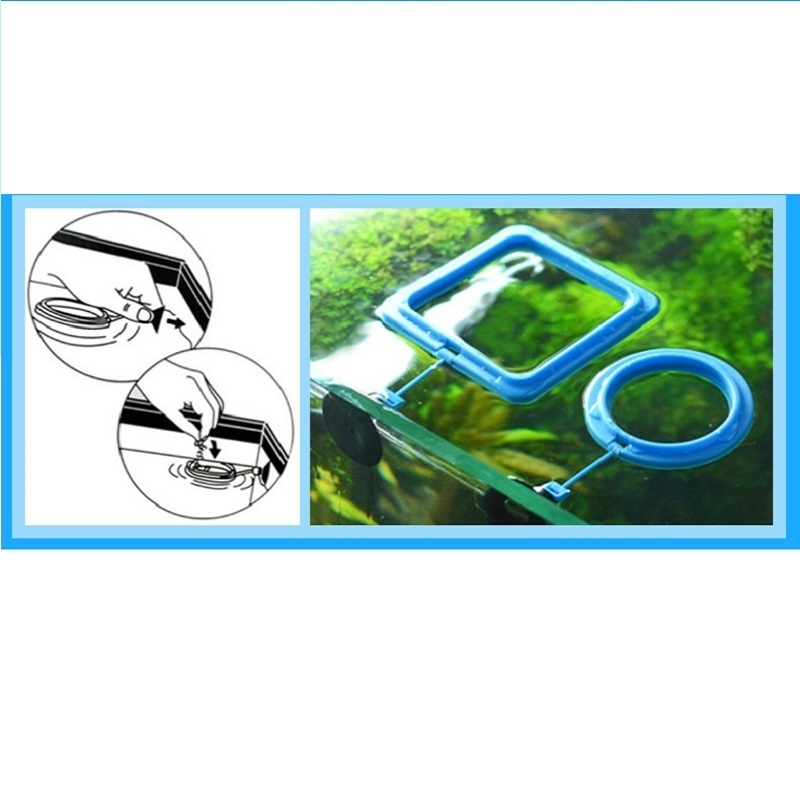 Fish Feeding Ring Feeder Fishi - Tetra Food Tropical Flakes ulasan dan harga