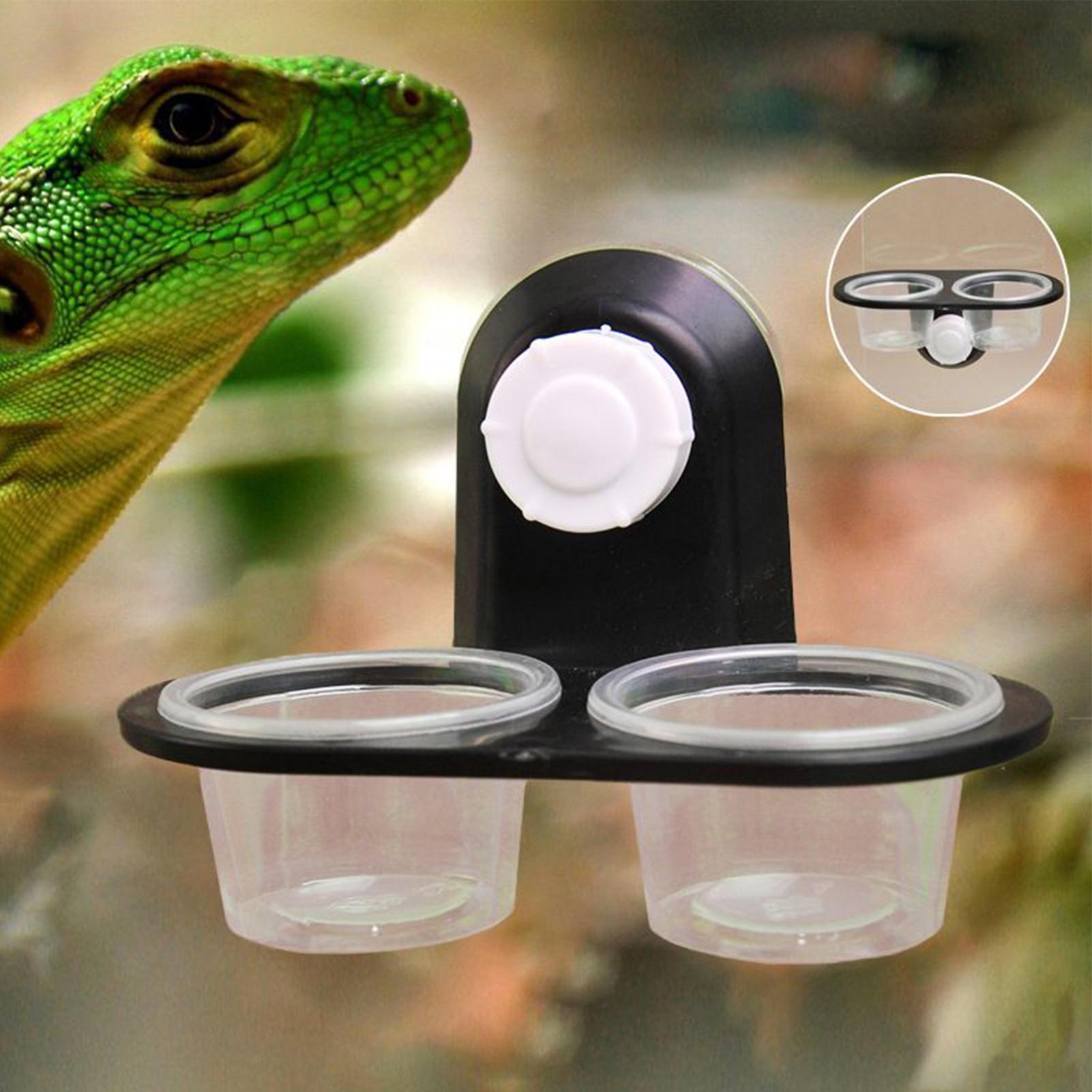 Gecko Food Dish Gecko Feeding  - Water Dish Reptile ulasan dan harga