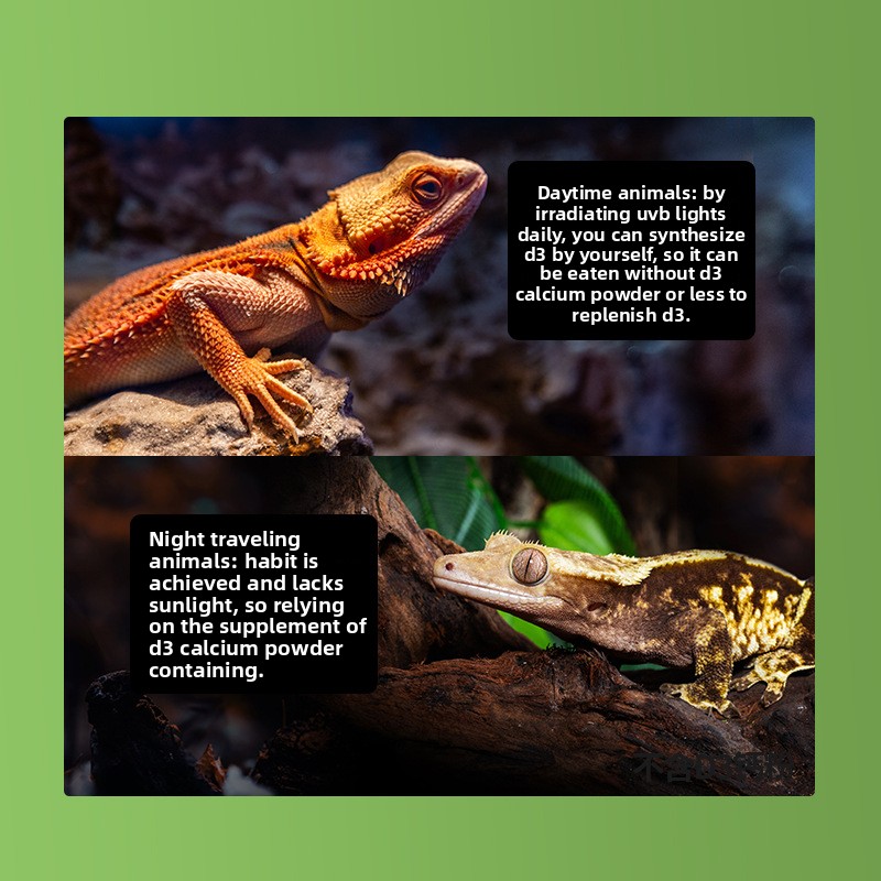 Reptizoo Reptile Calcium Powde - Calcium Powder Reptile ulasan dan harga