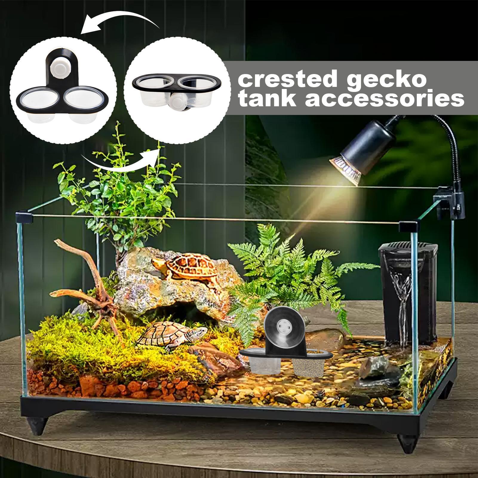 Gecko Feeder Ledge with Detach - Water Dish Reptile ulasan dan harga