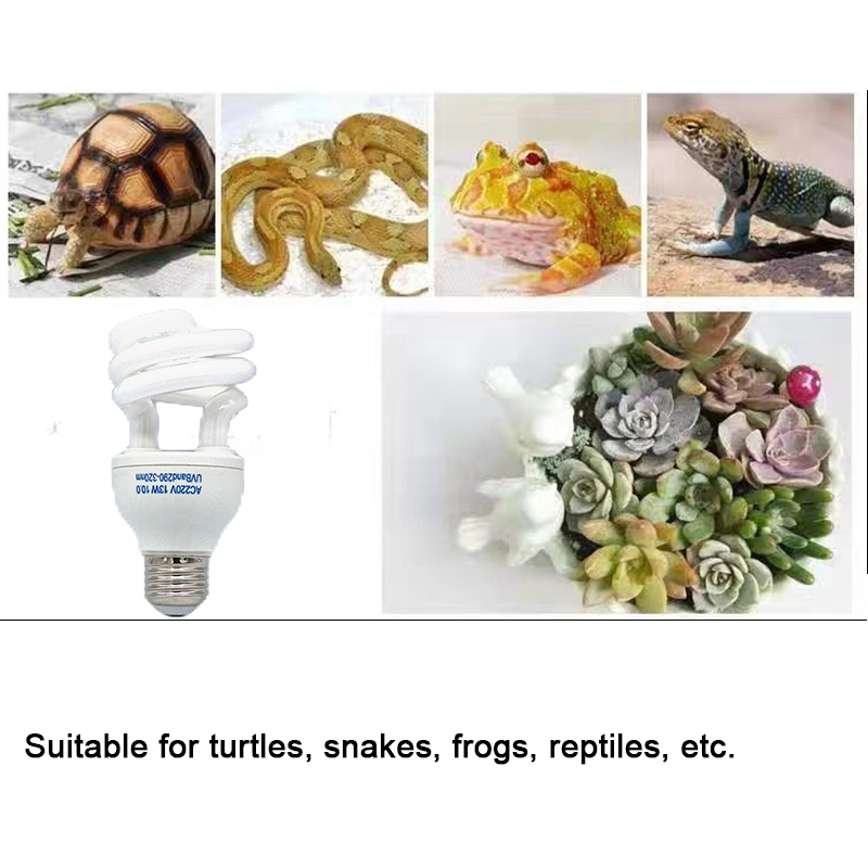 E27 13W/26W Reptile Uvb Lamp   - Calcium Powder Reptile ulasan dan harga