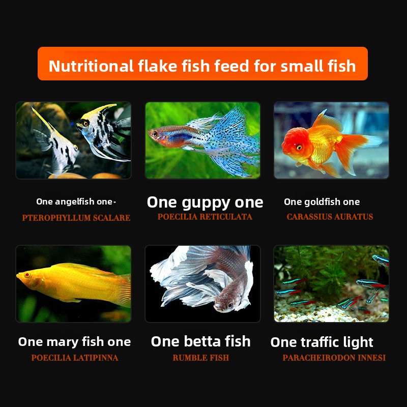 DaJiaWa Spirulina Flake Fish F - Tetra Food Betta Flakes ulasan dan harga