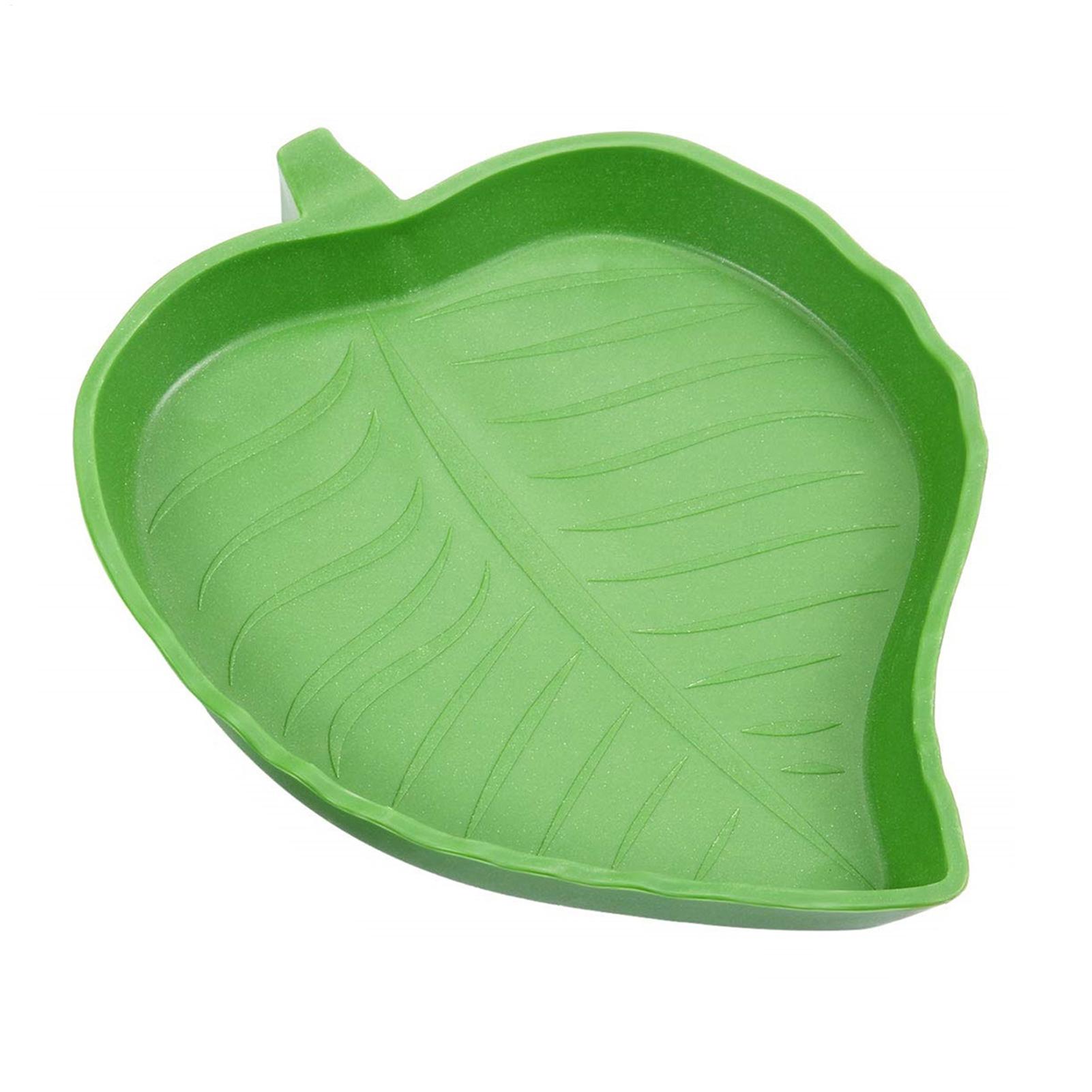 Reptile Food Water Bowl Reptil - Water Dish Reptile ulasan dan harga